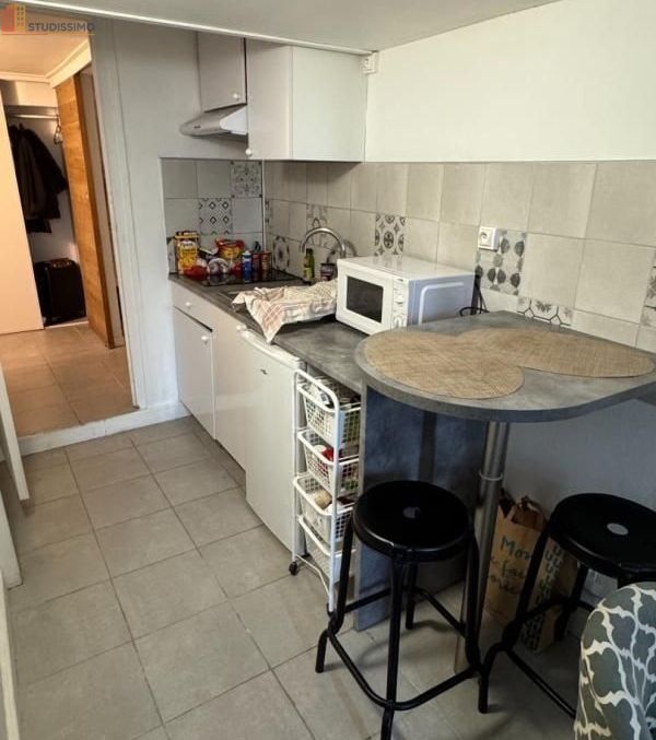 Studio meublé 18m² Nantes centre - Meublé, DPE C - Photo 14