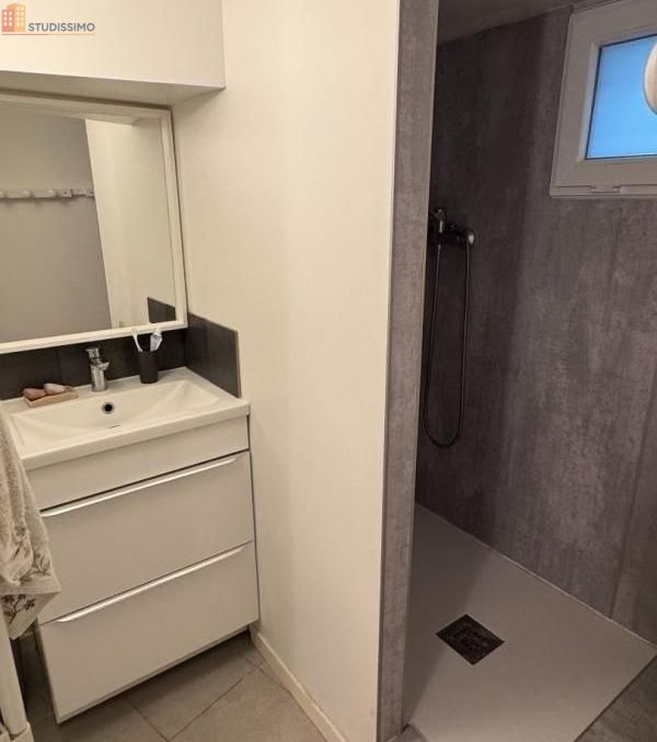Studio meublé 18m² Nantes centre - Meublé, DPE C - Photo 9