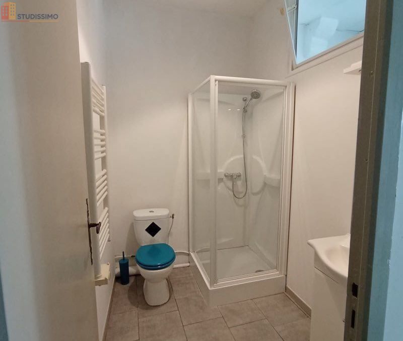 Studio 40m² Nérac - Lumineux - Photo 1