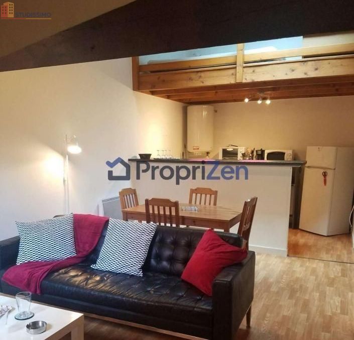 Studio 30m² Nantes 44000 - Meublé, lumineux - Photo 29