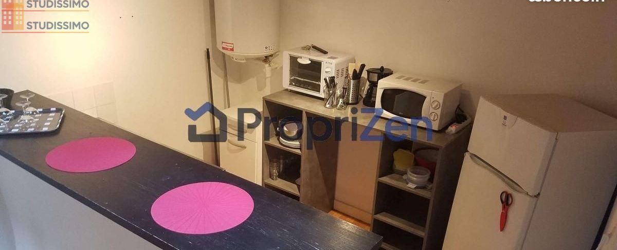 Studio 30m² Nantes 44000 - Meublé, lumineux - Photo 7