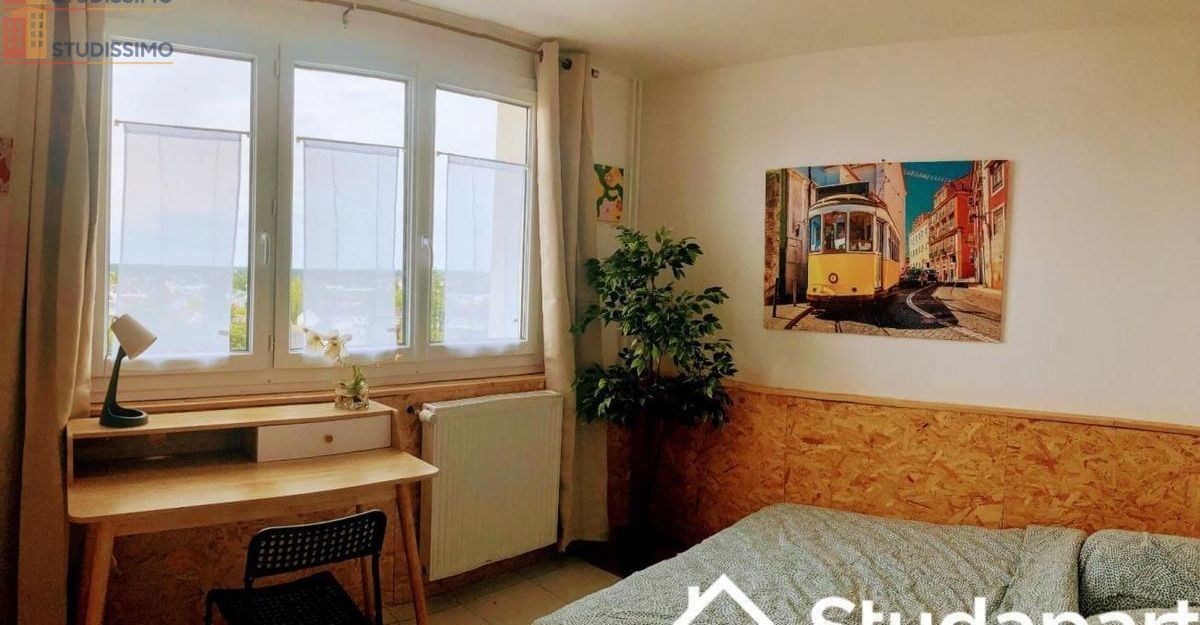 Studio meublé 12m² Olivet - 9e étage, lumineux - Photo 8