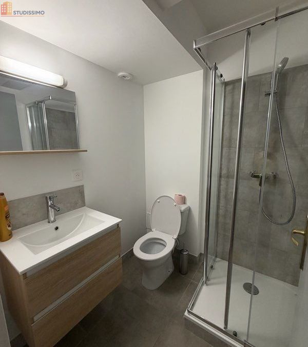 Studio meublé 44m² Agen 47000 - Lumineux, 1er étage - Photo 1
