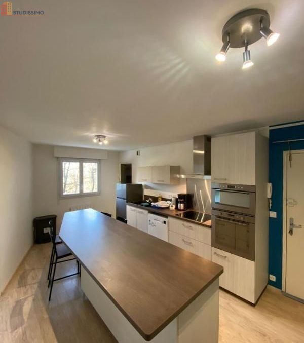 Studio meublé 10m² Nantes 44300 - Meublé, DPE D - Photo 9
