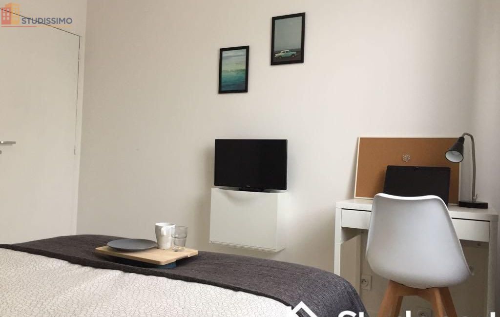 Studio meublé 10m² Nantes 44200 - Meublé, DPE D - Photo 20