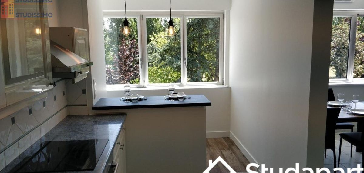 Studio meublé 14m² Orvault - Meublé, DPE C - Photo 12