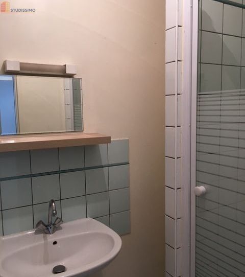 Studio 20m² Jargeau - Lumineux, bord de Loire - Photo 1