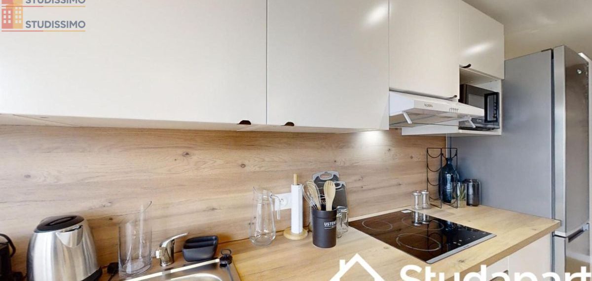 Studio meublé 28m² Nantes centre - Lumineux, DPE A - Photo 10