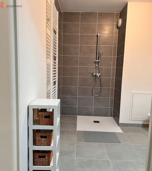 Studio 33m² Orléans centre - Meublé, place de parking - Photo 1