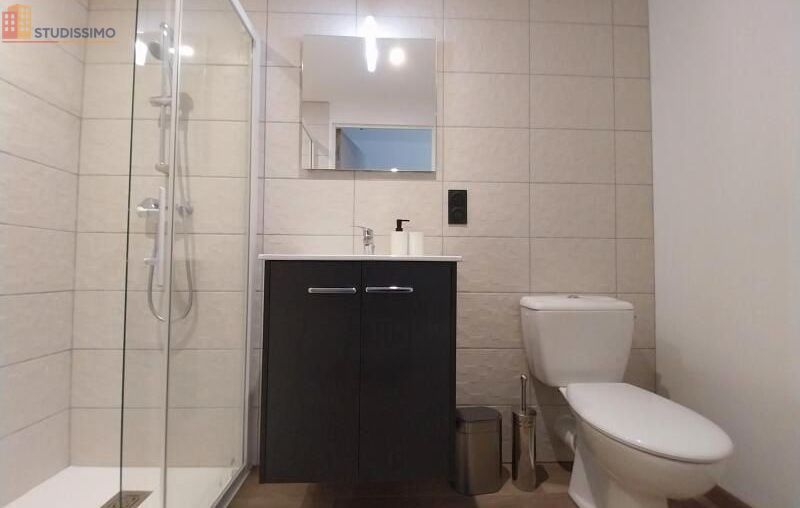 Studio 18m² Orléans - CPE C - Photo 10
