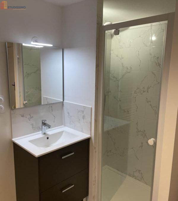 Studio meublé 23m² Orléans - Meublé, DPE C - Photo 4