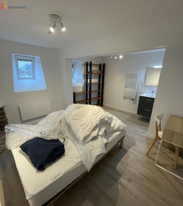 Studio meublé 23m² Orléans - Meublé, DPE C - Photo 3