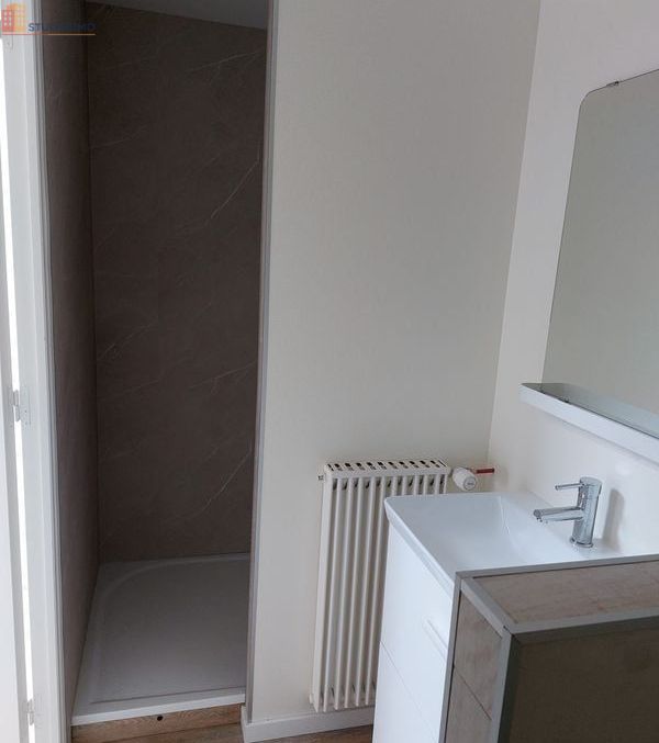 Studio meublé 19m² Clisson - Meublé, 1 pièce - Photo 4