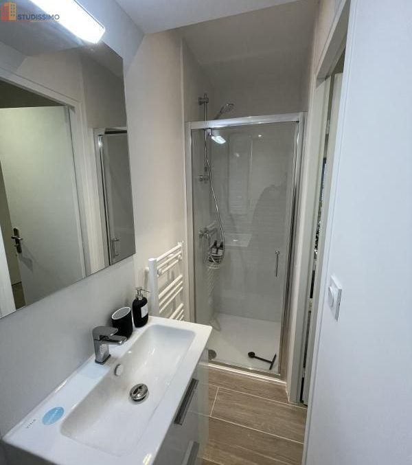 Studio meublé 17m² Orléans centre - Meublé, DPE D - Photo 2