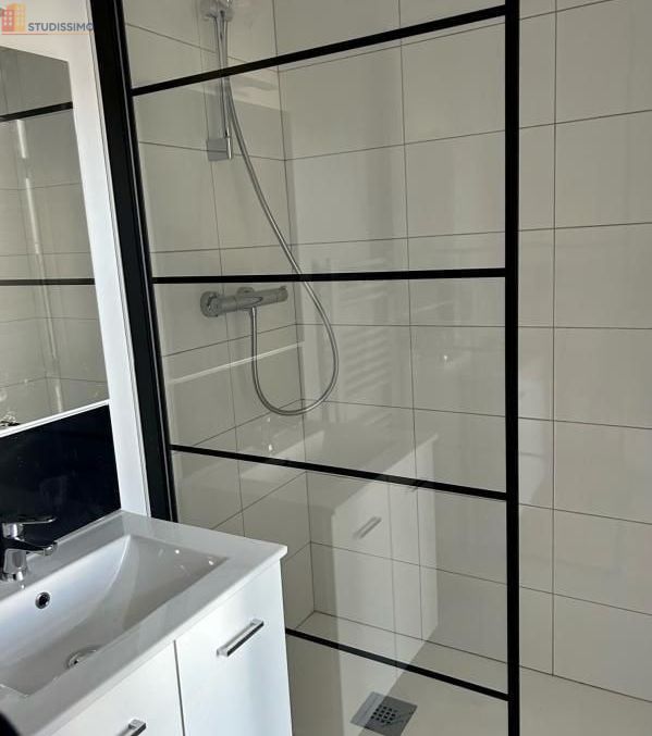 Studio meublé 22m² Orléans 45000 - Meublé, DPE D - Photo 5
