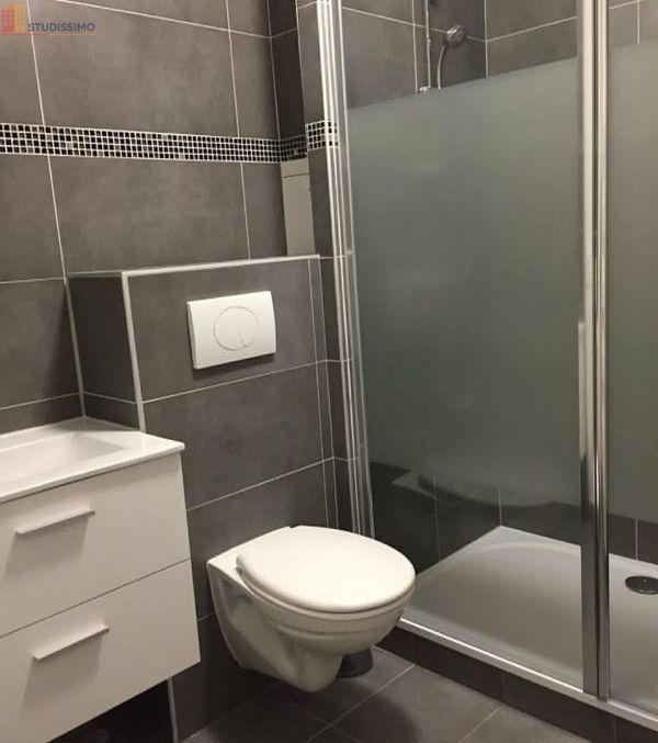 Studio meublé 35m² Olivet 45160 - Lumineux, DPE D - Photo 2