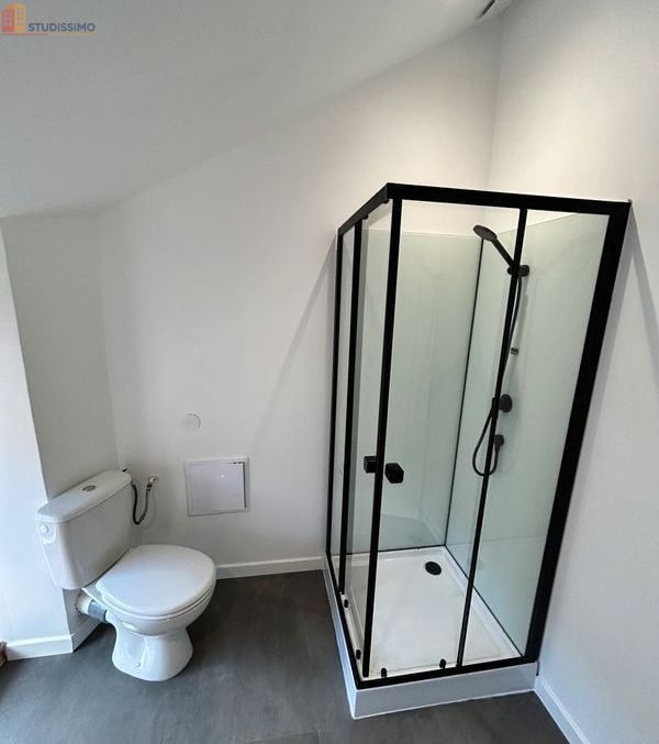 Studio meublé 30m² Langogne - Agréable, cœur de ville - Photo 1