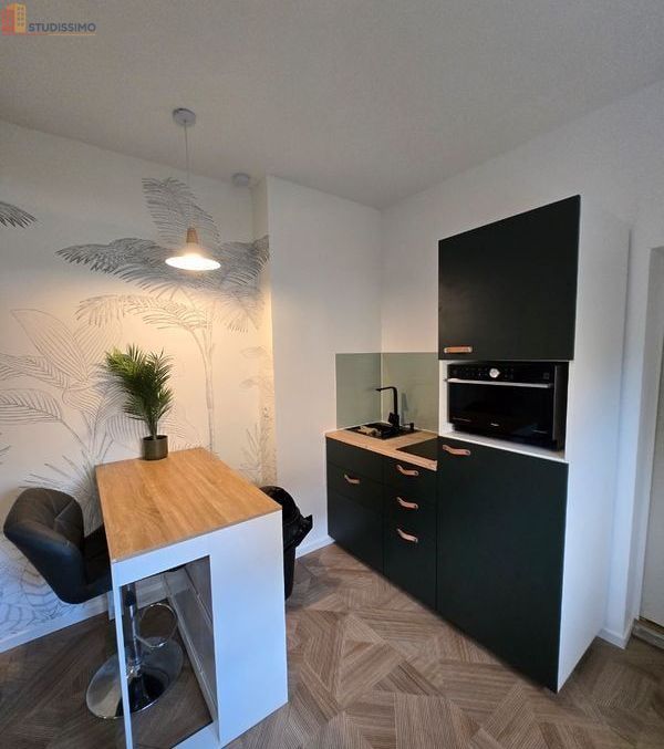 Studio 25m² Fleury-les-Aubrais - Meublé, DPE D - Photo 2