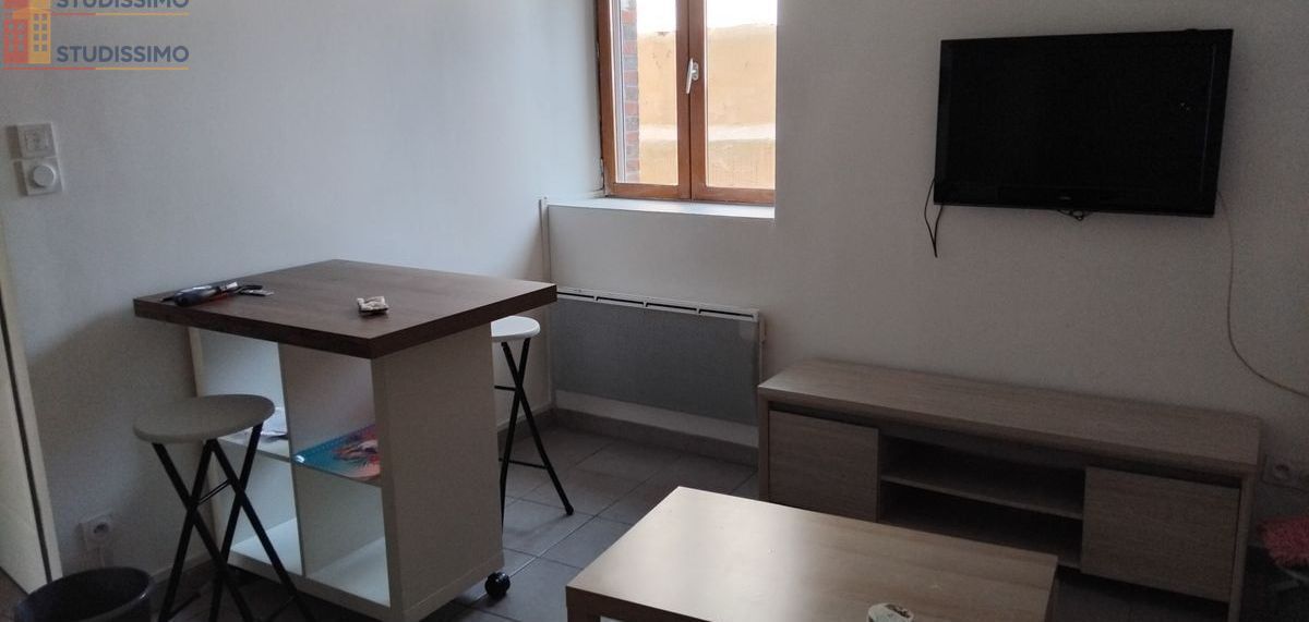 Studio meublé 24m² Saint-Martin-sur-Ocre - Meublé, DPE D - Photo 1