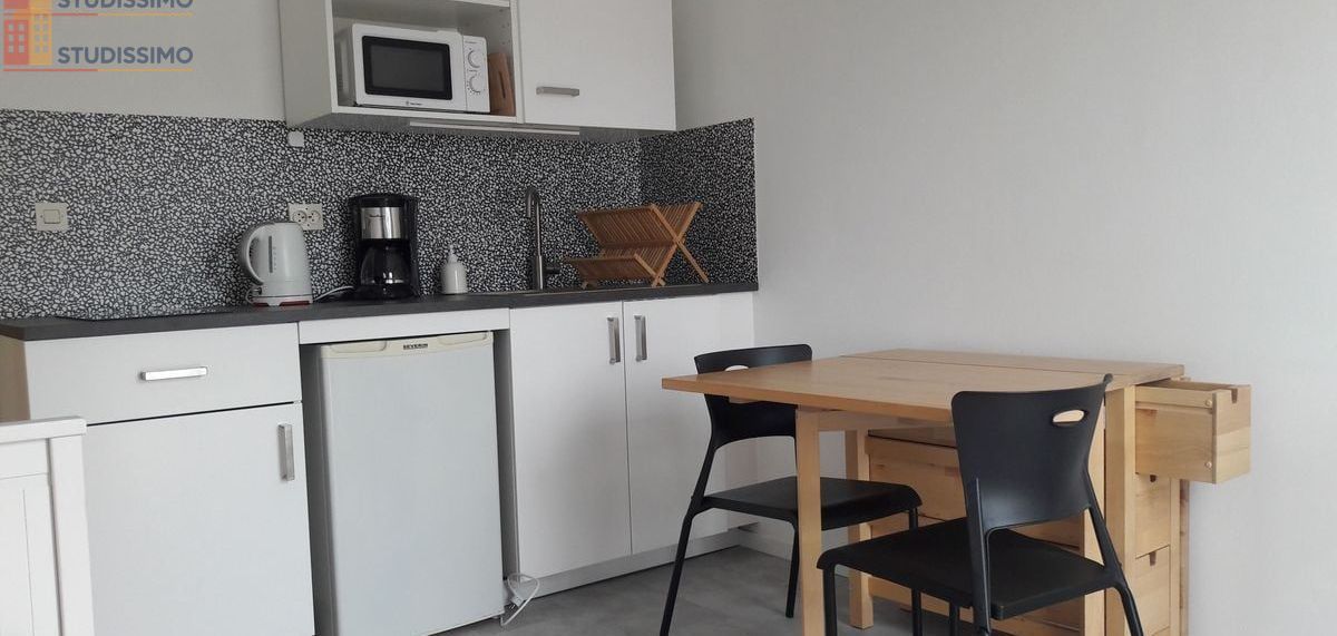 Studio meublé 18m² Nantes 44100 - Lumineux, meublé - Photo 6