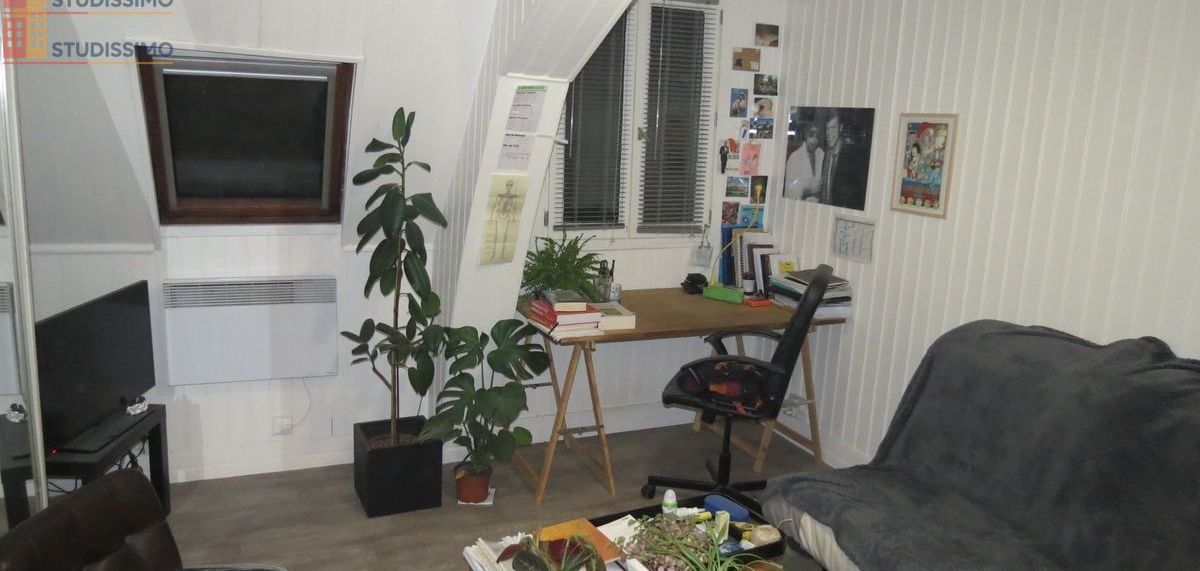 Studio 20m² Nantes 44000 - Photo 8