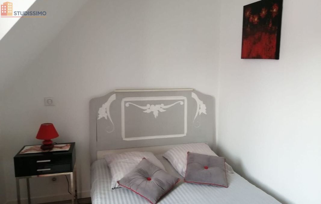 Studio meublé 30m² Gien 45500 - Hyper centre, lumineux - Photo 6