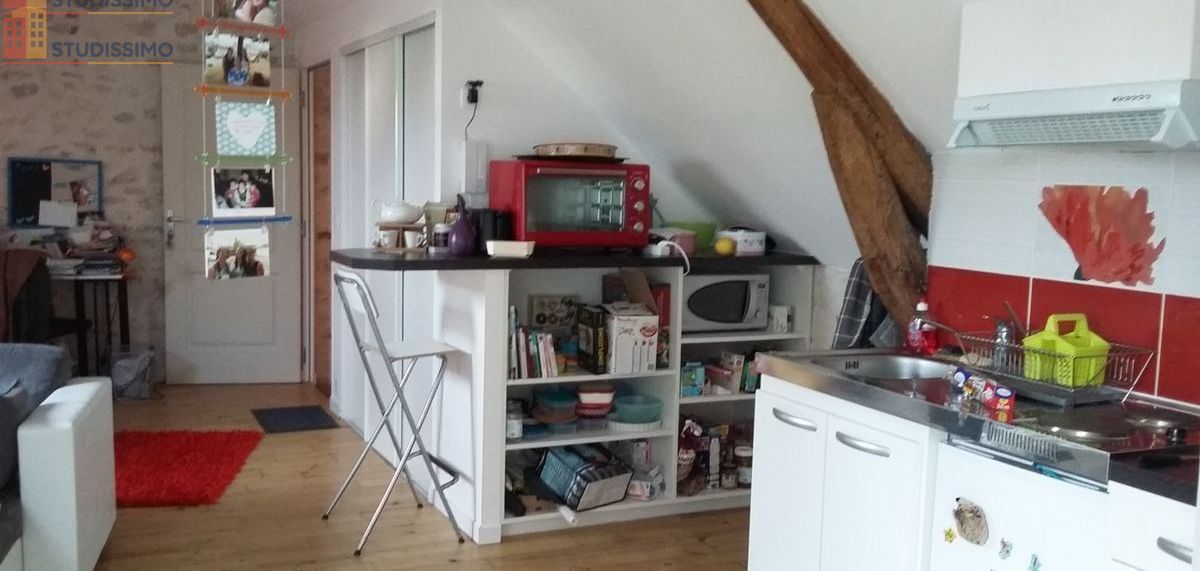 Studio meublé 45m² Orléans 45000 - Meublé, lumineux - Photo 4