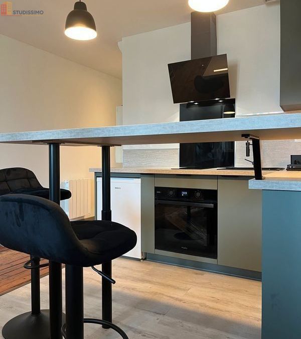 Studio meublé 30m² Couffé 44521 - Meublé, DPE D - Photo 45