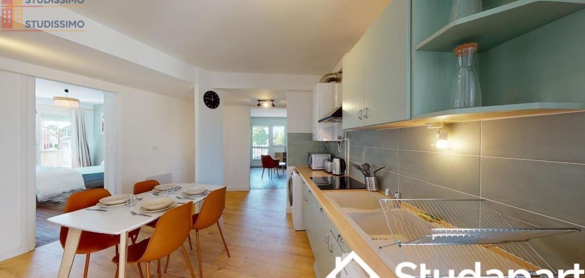 Studio meublé 12m² Nantes 44200 - Meublé, DPE A - Photo 25