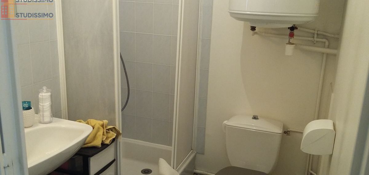 Studio meublé 19m² Nantes centre - Lumineux, calme - Photo 5