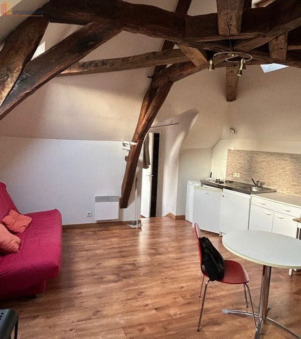 Studio 30m² Orléans 45000 - Très bon état - Photo 7