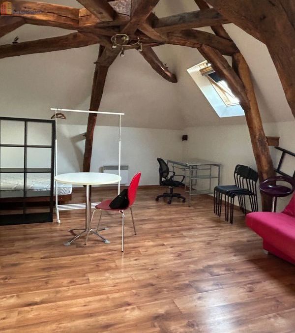 Studio 30m² Orléans 45000 - Très bon état - Photo 4