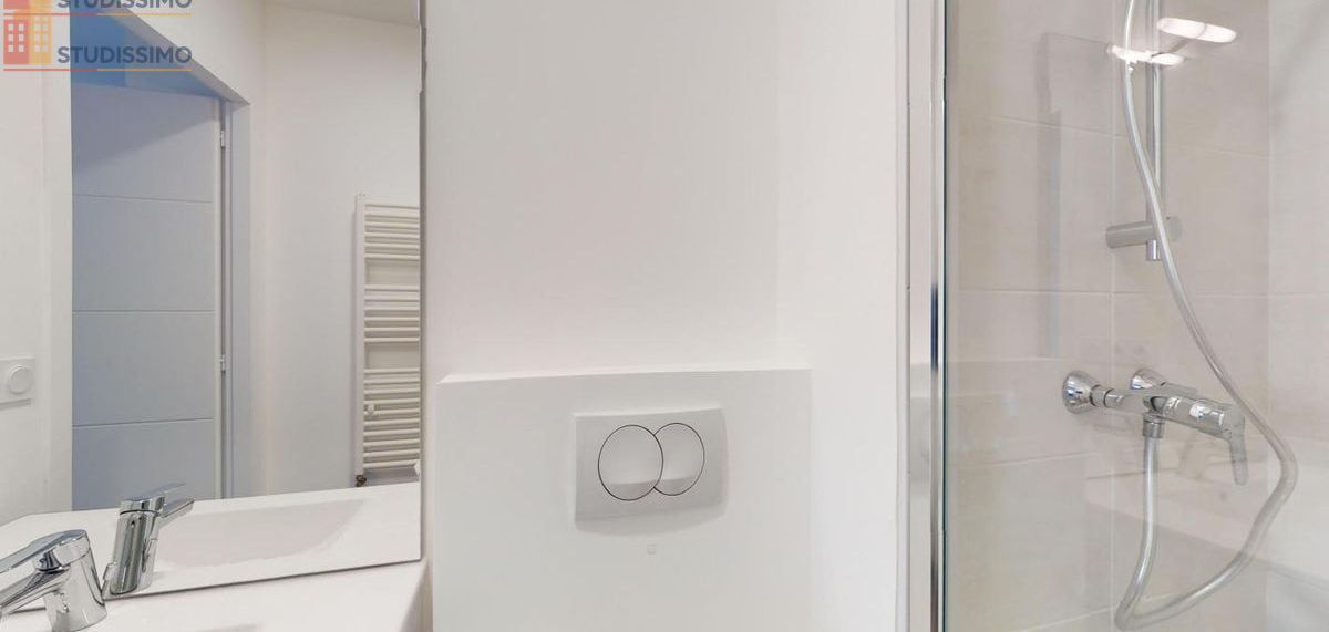 Studio meublé 14m² Nantes 44200 - Lumineux, DPE A - Photo 80