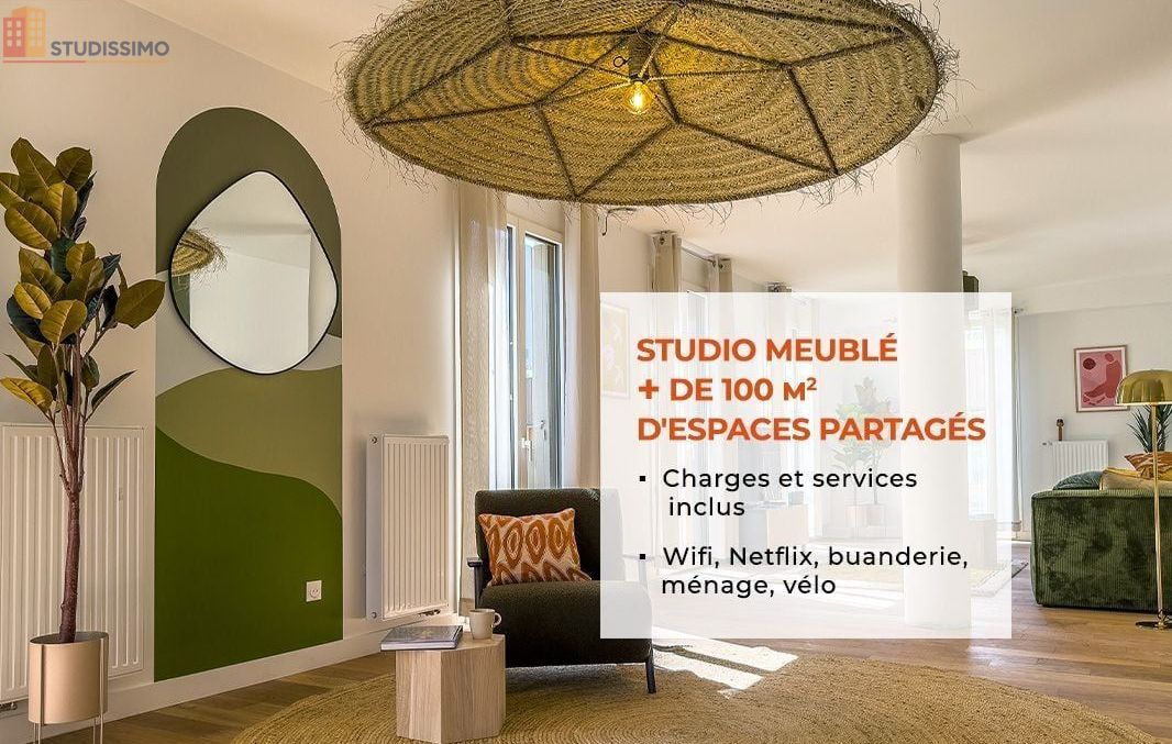 Studio meublé 14m² Nantes 44200 - Lumineux, DPE A - Photo 59