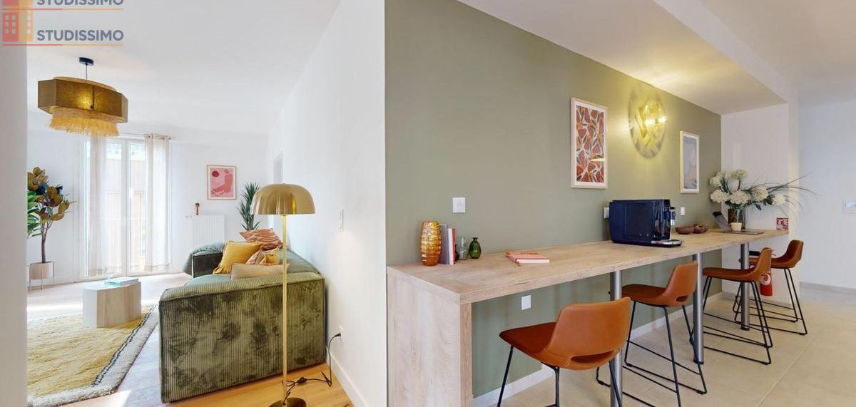 Studio meublé 14m² Nantes 44200 - Lumineux, DPE A - Photo 25