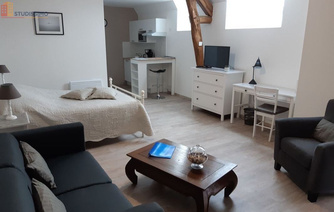 Studio meublé 35m² Châtillon-sur-Loire - Lumineux, centre-ville - Photo 6