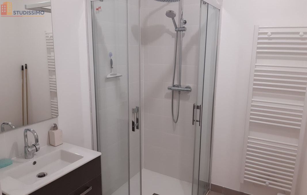 Studio meublé 35m² Châtillon-sur-Loire - Lumineux, centre-ville - Photo 3