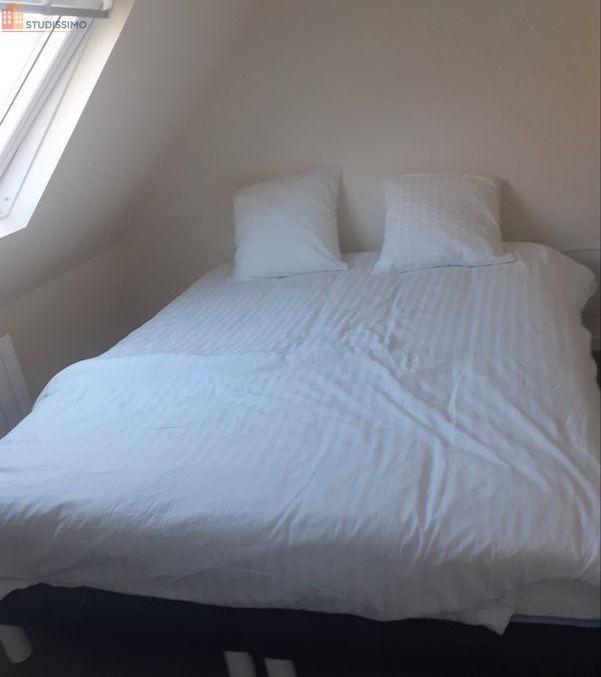 Studio meublé 19m² Sully-sur-Loire - Meublé, 2e étage - Photo 8