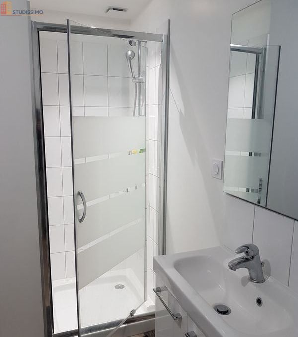 Studio meublé 18m² Beaulieu-sur-Loire - Meublé, cosy - Photo 1