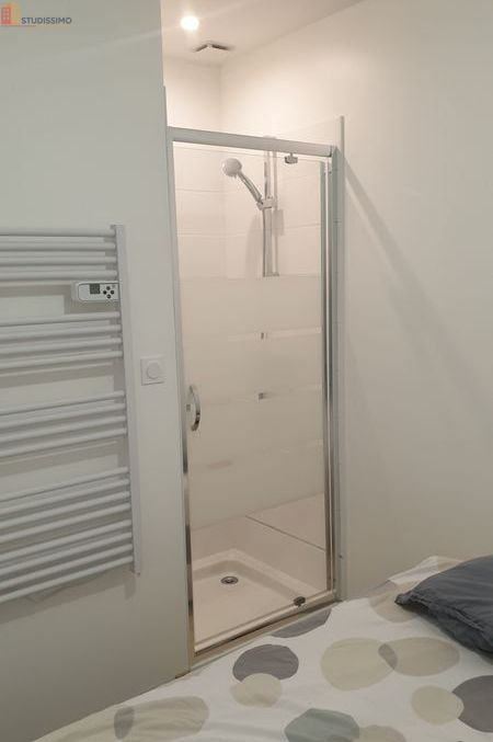 Studio 18m² Beaulieu-sur-Loire - Meublé, proche Belleville-sur-Loire - Photo 2