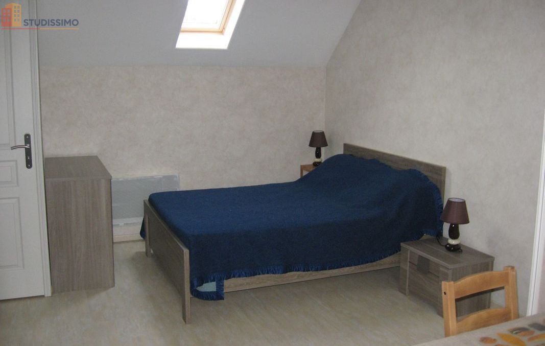 Studio meublé 30m² Pressigny-les-Pins - Meublé, DPE D - Photo 6