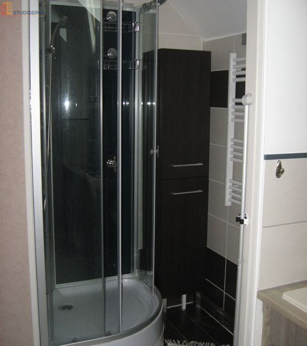 Studio meublé 30m² Pressigny-les-Pins - Meublé, DPE D - Photo 2