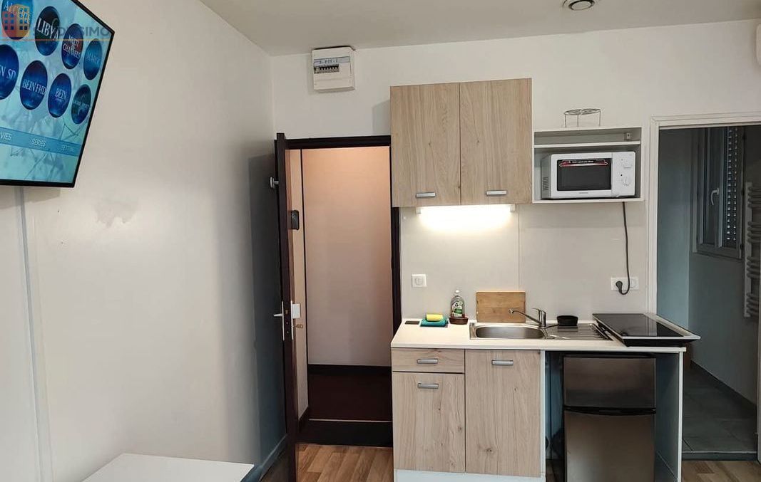 Studio meublé 21m² Ouzouer-sur-Loire - Meublé, 1er étage - Photo 5