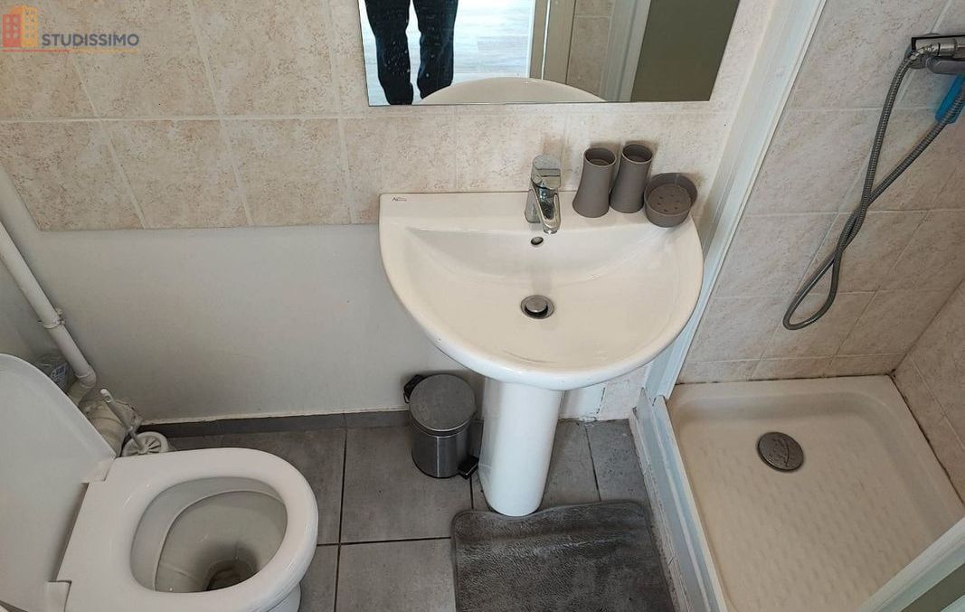 Studio meublé 21m² Ouzouer-sur-Loire - Meublé, 1er étage - Photo 1