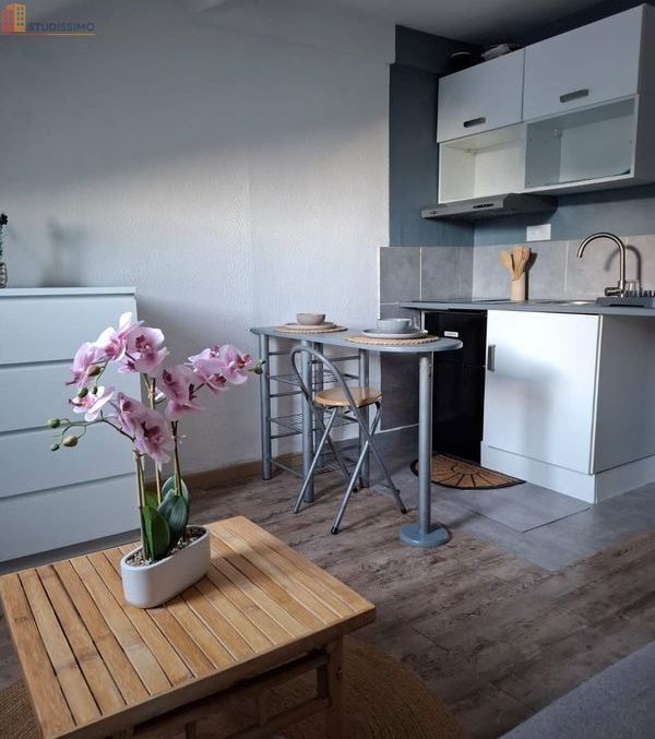 Studio meublé 16m² Nantes 44100 - Lumineux, dernier étage - Photo 2