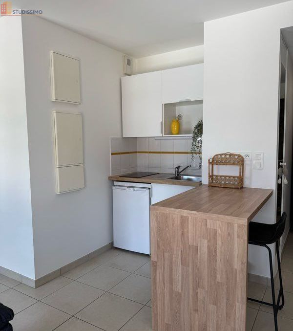 Studio meublé 30m² Nantes Tortière - Bords de l'Erdre, lumineux - Photo 9
