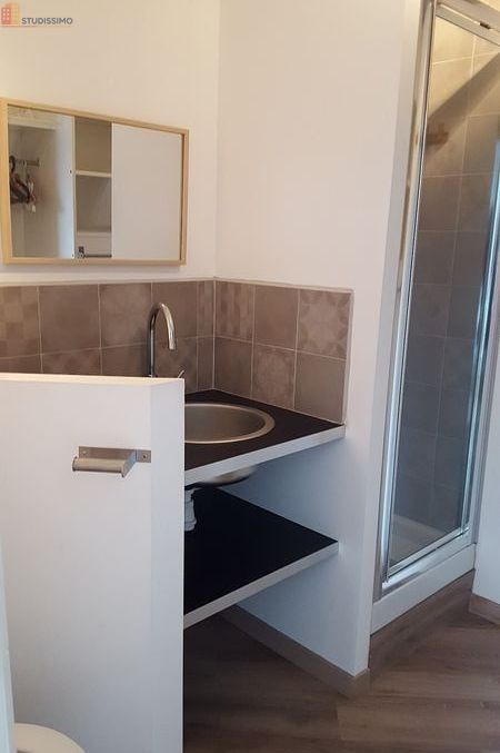 Studio meublé 19m² Nantes Ile de Nantes - Proche écoles, CHU - Photo 1