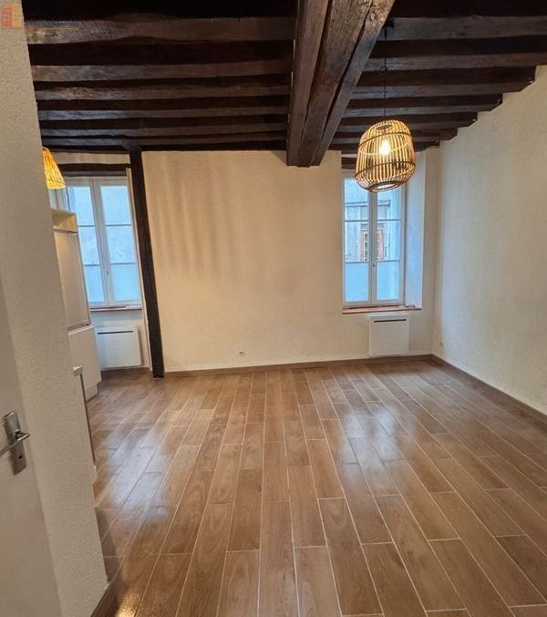 Studio 25m² Orléans 45000 - Photo 1