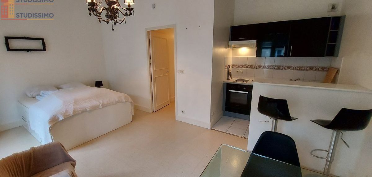 Studio meublé 30m² Angers centre - Proche Jardin du Mail - Photo 2