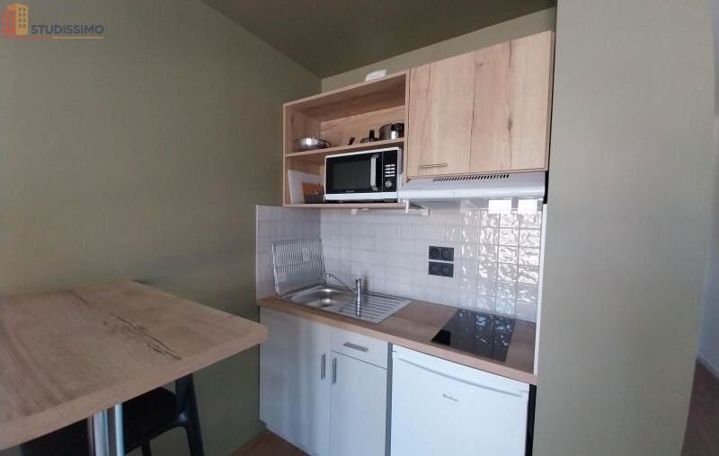 Studio 19m² Orléans 45000 - Meublé, DPE C - Photo 19